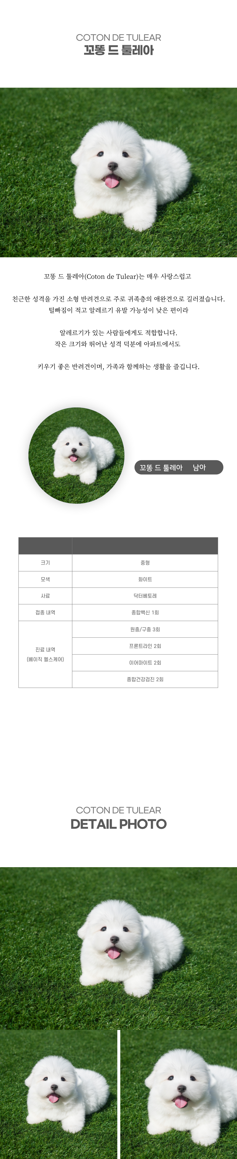 꼬똥_상세이미지_2